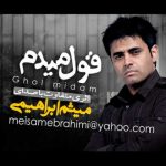 دانلود آهنگ میثم ابراهیمی قول می دم - 